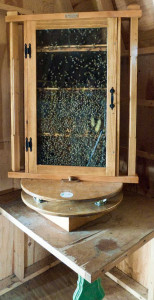 Draper Superbee observation hive 2