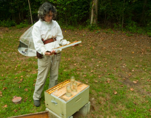 Mary viewing summer mating nuc